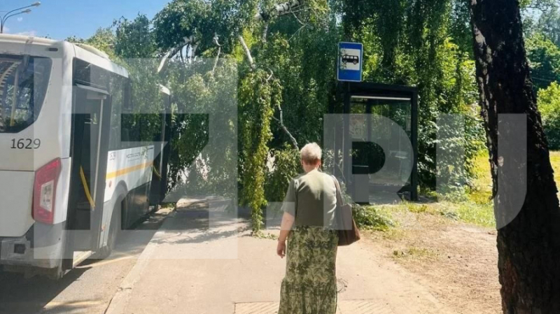 Число пострадавших в&nbsp;ДТП с&nbsp;маршруткой в&nbsp;Подмосковье достигло 14 человек