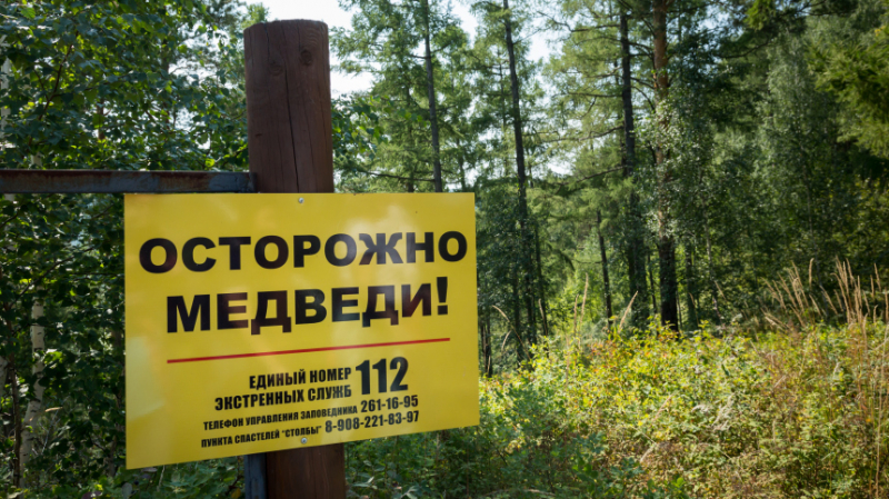 Тропа испытаний: в&nbsp;Забайкальском нацпарке закрыли маршруты из-за медведей